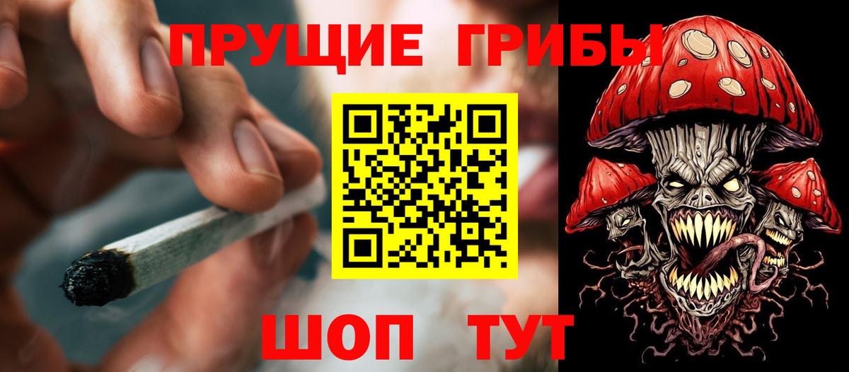 Псилоцибиновые грибы мухоморы  купить наркоту  Вход с VPN  Вышний Волочёк  Галлюциногенные грибы GOLDEN TEACHER 