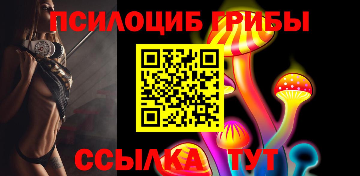 Галлюциногенные грибы прущие грибы Вышний Волочёк